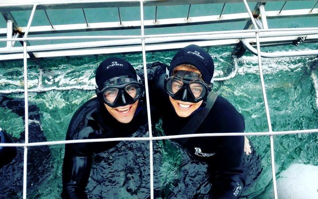 Haaiduik met Slashfin van Wilfred Chivell